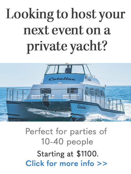 Yacht Wedding, Private Yacht Party, Yacht Parties